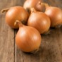 Autumn Champion Onion 250g Autumn Planting Onion Sets