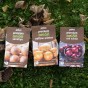 Senshyu, Red Winter and Yellow Winter - Mixed Winter Onion Sets (750g, Approx 150 Bulbs) 