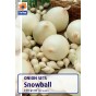 De Ree Snowball Winter Onion sets (250g Pack)