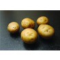 Orla Seed Potatoes - 2KG
