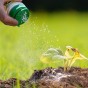 Jamieson Brothers Pest Control Powder 200ml Use To Deter Slugs, Ants, Earwigs & Other Bugs
