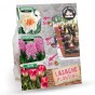 Pink Lasagne Mix: Daffodil Replete, Hyacinthus China Pink, Tulip Whispering Dream -  15 Bulbs Ready for Planting Now in UK Autumn Outdoor Gardens