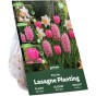 Pink Spring Flowering Lasagne Bulb Planting Kit - Layered Perennial Flower Bulbs for Garden Pots & Containers, Mixed Tulips, Daffodils & Hyacinths – by Jamieson Brothers