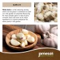 Jamieson Brothers® Autumn White Garlic Bulbs - 4pcs