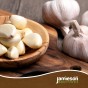 Jamieson Brothers® Autumn White Garlic Bulbs - 4pcs