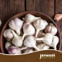 Jamieson Brothers® Autumn Pink Garlic Bulbs - 4pcs