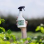Jamieson Brothers Plant Wash Spray with Added Colloidal Silver - Repairs & Revives Damaged Plants Creating a Visible Healthier Foliage