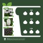 Black/White Spring Flowering Lasagne Bulb Planting Kit - Layered Perennial Flower Bulbs for Garden Pots & Containers, Mixed Tulips, Crocus & Hyacinths – by Jamieson Brothers