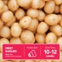 Pentland Javelin Seed Potatoes