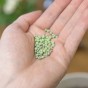 Precious Plants Superior Plant Food 210g Sachet – Concentrated General Purpose Fertiliser for Plants & Flowers