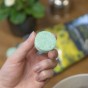 Precious Plants Fast Dissolving Plant Food Tablets 20 Pack – Quick Release Fertiliser for Indoor & Outdoor Plants – Pouch