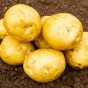 Premiere Seed Potatoes - 2KG