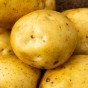 Premiere Seed Potatoes - 2KG