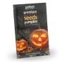 Pumpkin Jack O'Lantern (approx 20 seeds) Grow for Eating and Carving -  by Jamieson Brothers