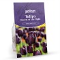 Queen of The Night Tulip Bulbs (12 Bulbs) by Jamieson Brothers