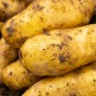 Ratte Seed Potatoes - 8