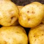 Record Seed Potatoes - 20KG