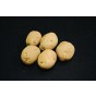 Record Seed Potatoes - 20KG