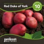 Jamieson Brothers® Red Duke of York - 10 tuber pack