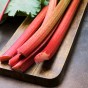 Rhubarb (Rheum Rhabarbarum) 1x Spring Planting Rhubarb Roots| Roots for Planting Now UK | Plant Garden Outdoor | Jamieson Brothers