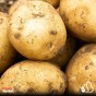 6kg Seed Potato Bundle (Rocket, Maris Peer & Rooster) Easy to Grow & High Yielding Varieties Perfect for All Uses