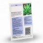 Jamieson Brothers® Sage Herb Seeds (Approx. 23 seeds)