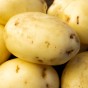 Sagitta Seed Potatoes - 20KG