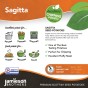 Sagitta Seed Potatoes