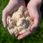Dry Sawdust Large Bale by Jamieson Brothers
