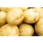 Saxon Seed Potatoes