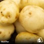 6kg Seed Potato Bundle (Red Duke of York, Maris Peer & Maris Piper) Easy to Grow & High Yielding Varieties Perfect for All Uses