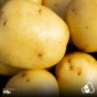 6kg Seed Potato Bundle (Sharpes Express, Wilja & Maris Piper) Easy to Grow & High Yielding Varieties Perfect for All Uses