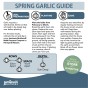 Jamieson Brothers® White Garlic - 4 Bulbs