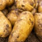 Sharpes Express 2kg Summer Planting Second Cropping  Seed Potatoes (22 Tubers Approx.) By Jamieson Brothers