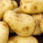Sharpes Express 2kg Summer Planting Second Cropping  Seed Potatoes (22 Tubers Approx.) By Jamieson Brothers
