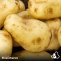 6kg Seed Potato Bundle (Sharpes Express, Wilja & Maris Piper) Easy to Grow & High Yielding Varieties Perfect for All Uses