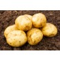 Jamieson Brothers Sherine - 5 Mini Tuber Pack