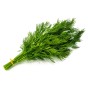 Dill Herb Seeds (Approx. 115 seeds) by Jamieson Brothers®