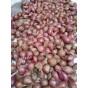 Jamieson Brothers® Red Sun Shallot Sets - 32 pack