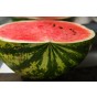 Jamieson Brothers® Water Melon Crimson Sweet Fruit Seeds (Approx. 20 seeds)