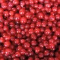 Redcurrant - Spring planting bare root fruit bush/shrub by Jamieson Brothers