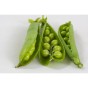 Jamieson Brothers Grow Your Own Starter Garden Bundle 5 Pack Easy Vegetable Seed Collection (Lettuce Mesclun Mix, Spring Onion White Lisbon, Pea Kelvedon Wonder, Radish French Breakfast, Beetroot Boltardy)