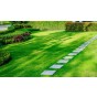 Jamieson Brothers Shady Lawn Grass Seed Approx. 250sq.m 10kg