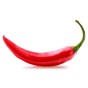 Jamieson Brothers® Chilli Cayenne Vegetable Seeds (Approx. 90 seeds)