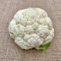 Cauliflower Snowball X Vegetable Seeds (approx. 300 seeds) by Jamieson Brothers®