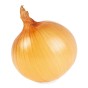 Senshyu Winter Onion Sets (250gm) by Jamieson Brothers® -  Bulb Size 14/21 