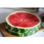 Jamieson Brothers® Water Melon Crimson Sweet Fruit Seeds (Approx. 20 seeds)