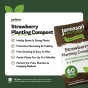 Strawberry Planting Compost with added John Innes 60L - 6 months feeding in this professional blend by Jamieson Brothers
