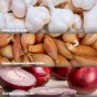 Spring Vegetable 3 Pack Including Red Baron Onions, Golden Gourmet Shallots & White Garlic Bulbs Perfect for Planting in Spring UK