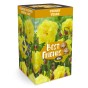 Best Friends Box #Sunny Tears: Daffodil Flyer & Fritillaria Uva-vulpis, 30 Bulbs Ready for Planting Now in UK Autumn Outdoor Gardens